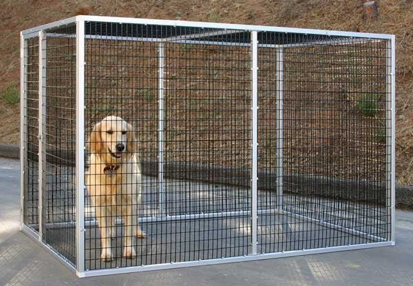 pet cage.jpg